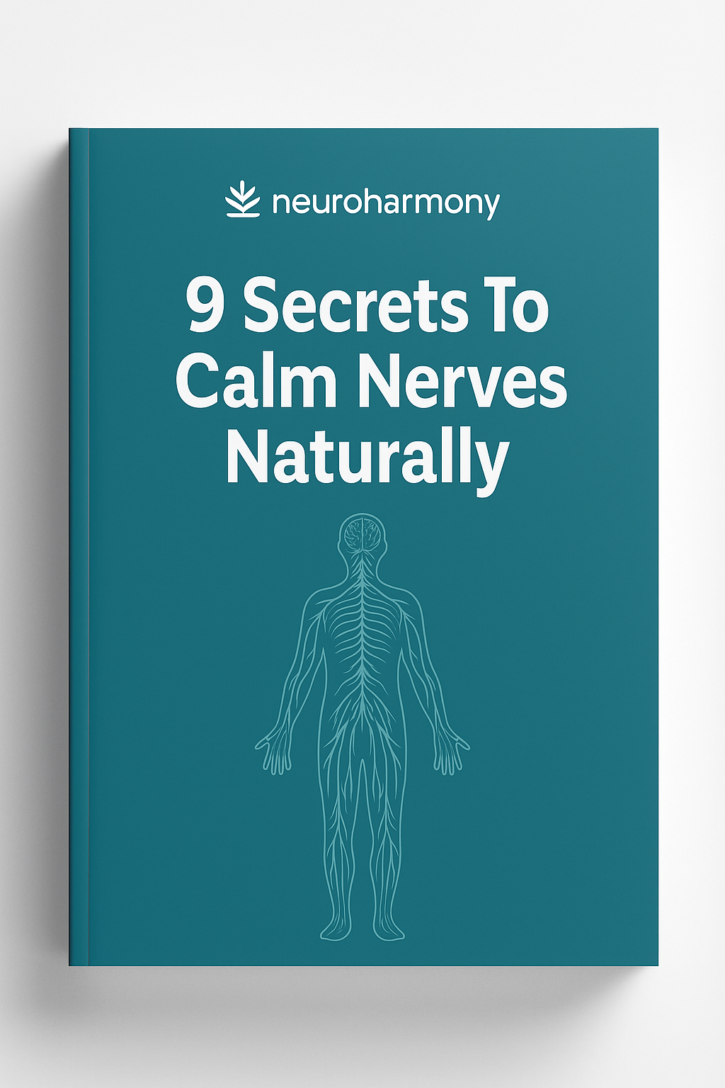 La Guida Completa al Comfort Nervoso